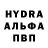 ГАШИШ Изолятор Anime Company